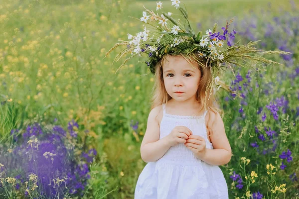 小さな女の子花カモミール花輪フィールド バイオレット — ストック写真