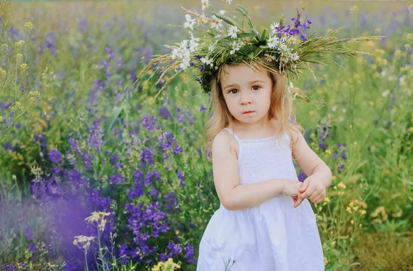 Malá dívka květ heřmánku věnec pole fialová — Stock fotografie