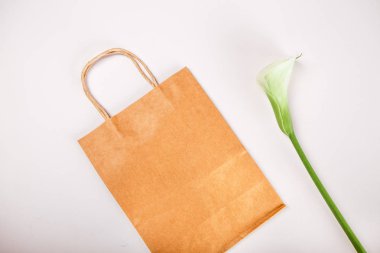 Kraft kahverengi kağıt alışveriş çantası bitkiler bahar kavramı içinde