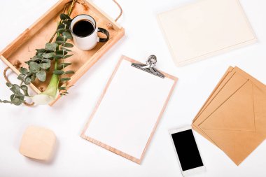 Üstten Görünüm boş tebrik kartı bitkiler beyaz arka plan