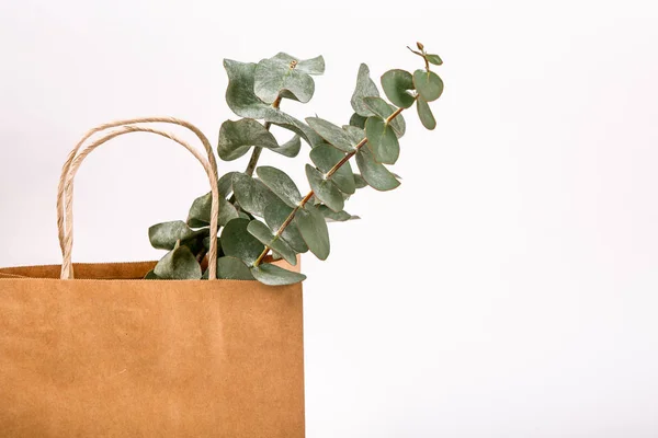 Kraft brown paper shopping bag white background Spring concept — Stock Photo, Image