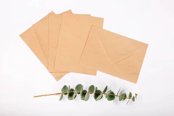 Artesanato envelopes plantas fundo branco — Fotografia de Stock