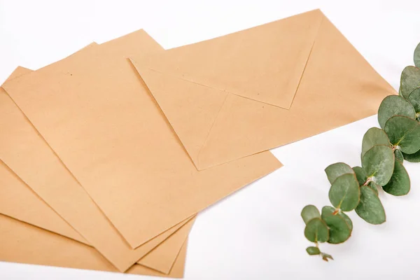 Artesanato envelopes plantas fundo branco — Fotografia de Stock