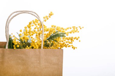 Mimoza buket bir zanaat paketindeki kapatın