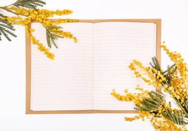 iki şube Mimoza çiçeği ve bir dizüstü