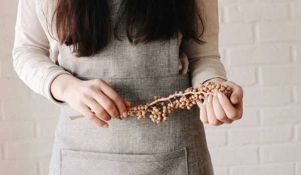 Vrouw tuinman tuingereedschap werkt schort — Stockfoto