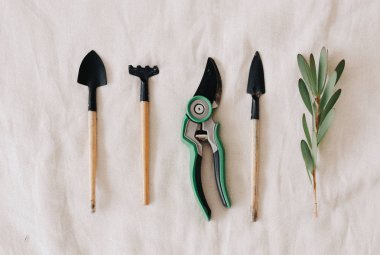 Çiçekler beyaz arka plan dekorasyon için aracı