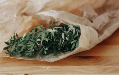 Yeşil okaliptüs yaprakları dekoratif kağıt sarılı