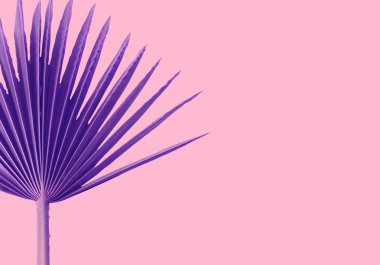 Mor Palms yapraklar pembe arka plan kavramı illüstrasyon