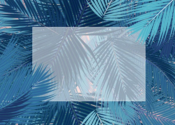 Blue Palms leafs blank card concept
