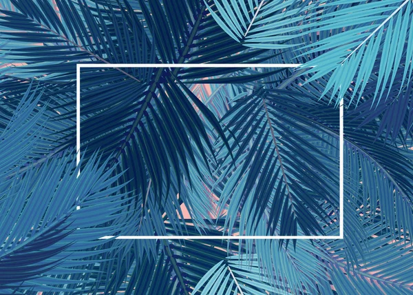 Blue Palms transparante lege kaart achtergrond concept — Stockfoto