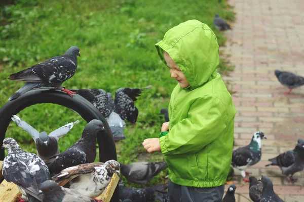Chico con emociones furioso hambre palomas parque banco primavera — Foto de Stock