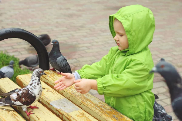 少年フィード ハト ウインドブレーカーのフード公園ベンチ春 — ストック写真