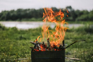 Barbekü Nehri yakınında yangın ahşap doğa ile