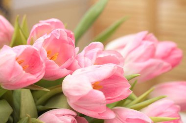 Bahar buket pembe lale çiçekleri kapatın