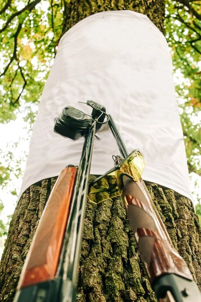Два ружья аксессуары спортивная стрельба оружие — стоковое фото