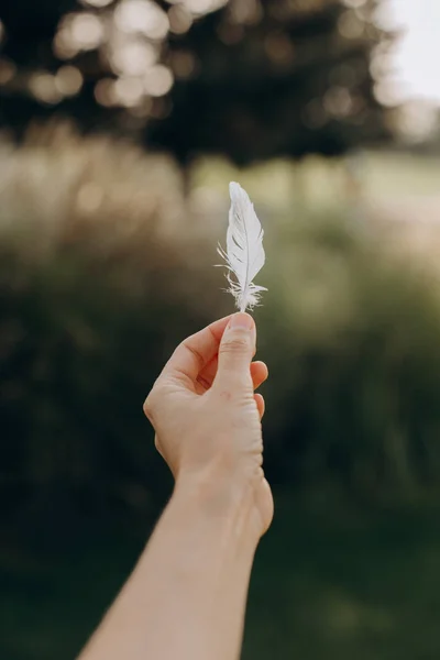 Goose feather conceptual warmth softness light fluff — Stock Photo, Image