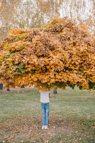 Chica cubre cara de arce hoja de otoño oro — Foto de Stock