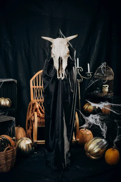 Halloween mystisk häxa skalle demon horn mantel — Stockfoto