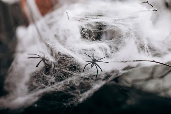 Araña guarida oscuridad cueva halloween místico web — Foto de Stock