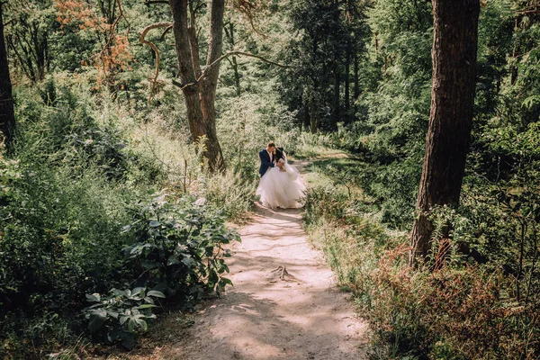 Love couple hug tenderness groom bride forest — Stock Photo, Image