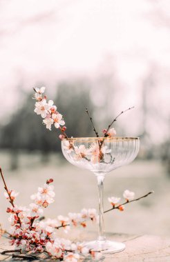 Bahar mevsimi çiçek açan bahçe dalları büyüyen hayat çiçek açar.