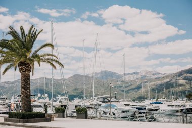 Palmiye bağlama yatı dağları, yürüyüş, tropik tatil maceraları.