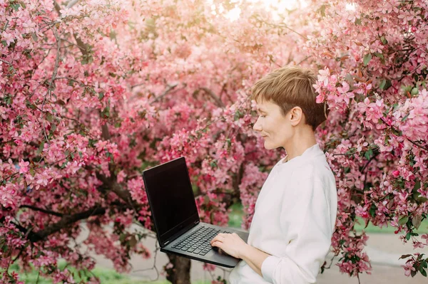 woman with laptop freelance working outside park sakura bloom pink