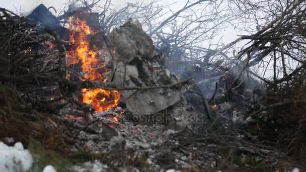 Kameran Glider Förbi Borste Högen Brand Dimmigt Vintermorgon — Stockvideo