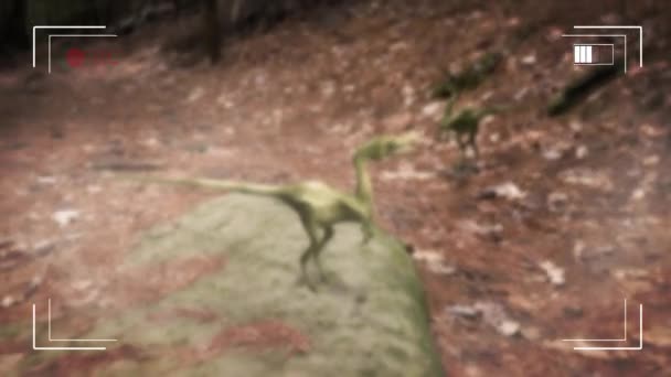 Small Dinosaurs Filmed Video Camera Interfacephotorealistic Animation One Few Compsognathus — Stock Video