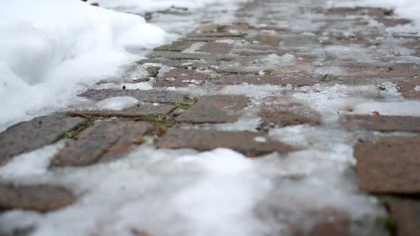 Kamera Rutscht Winter Über Eisglattes Treppenhaus Unfallkonzept — Stockvideo