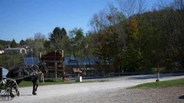 Yaz aylarında Pennsylvania yolda bir Amish kamyonu sürücüler