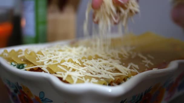 Posypat Mozzarellou Nad Dokončí Lasagne Misky — Stock video