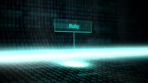 数字景观软件定义的排版与未来的二进制代码 Ruby — 图库视频影像