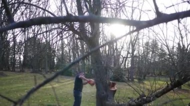 Elektrikli testere ile inşaat işçisi tarafından varlık amele üstünde bir ağaç gövdesi yan görünüm