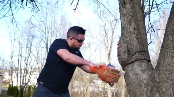 一个工人在一个大树枝下 危险地用电锯砍树 Alt2 — 图库视频影像