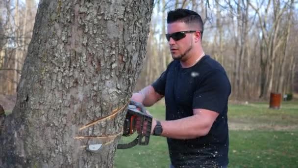 一个英俊的树服务聘请工人雕刻在树上链锯 — 图库视频影像