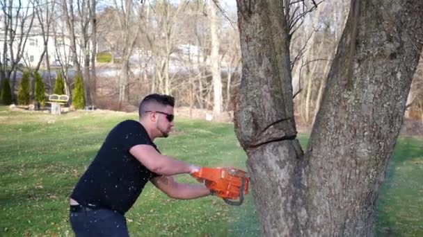 Ένας Εργαζόμενος Επικίνδυνα Περικοπές Ένα Δέντρο Αλυσοπρίονο Στο Τοπικό Πάρκο — Αρχείο Βίντεο