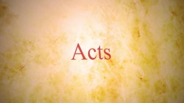 Kitap Yeni Ahit İncil serisi - Acts