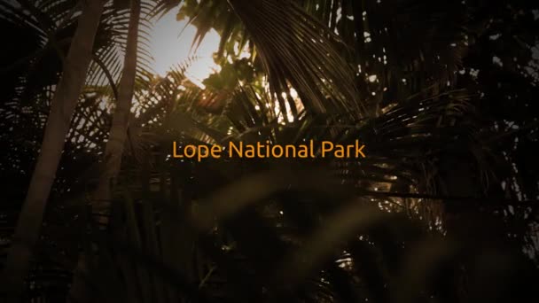 Famosa Série Tipografia Floresta Tropical Lope National Park — Vídeo de Stock