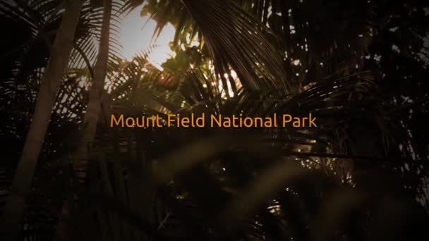 Famous Rain Forest Typography Series Mount Field National Park — Stock Video