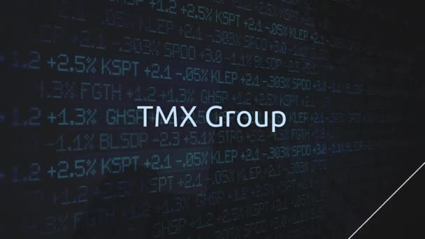 Εταιρικές Ανταλλαγές Χρηματιστηριακή Αγορά Σειρά Ομάδα Tmx Κινουμένων Σχεδίων — Αρχείο Βίντεο