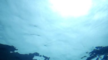 Okyanus dalgaları aşağıdan yukarıya bakıyor