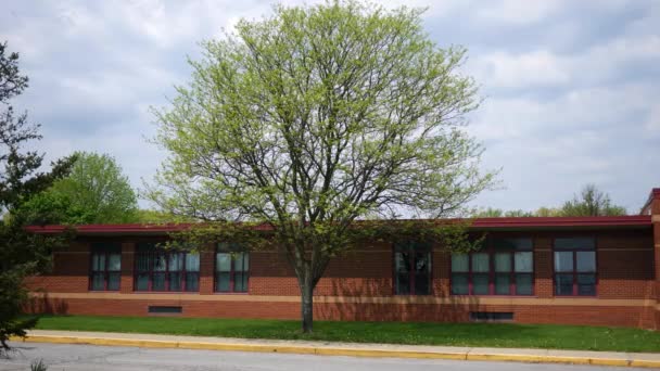 Las Ventanas Aula Una Escuela Primaria Como Tarde — Vídeos de Stock