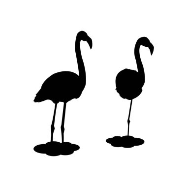 Pembe flamingolar silüeti. 2 adet kümesi. Vektör çizim