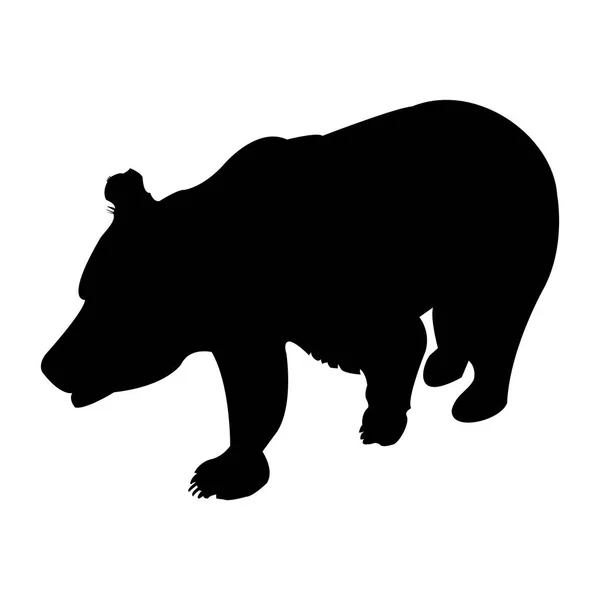 Silhueta de urso pardo. Ilustração vetorial isolada em um fundo transparente — Vetor de Stock