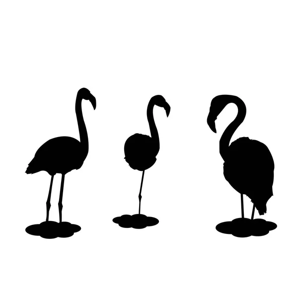 Silhouet van roze flamingo's. Instellen van vectorillustratie — Stockvector