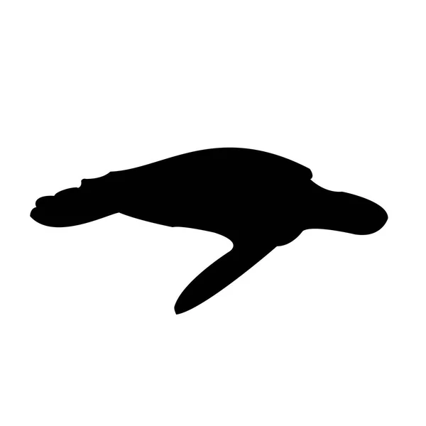 Turtle silhouette. Vector — Stock Vector