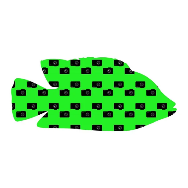 Fische. Silhouette auf grünem Hintergrund mit Kameras. Vektor — Stockvektor