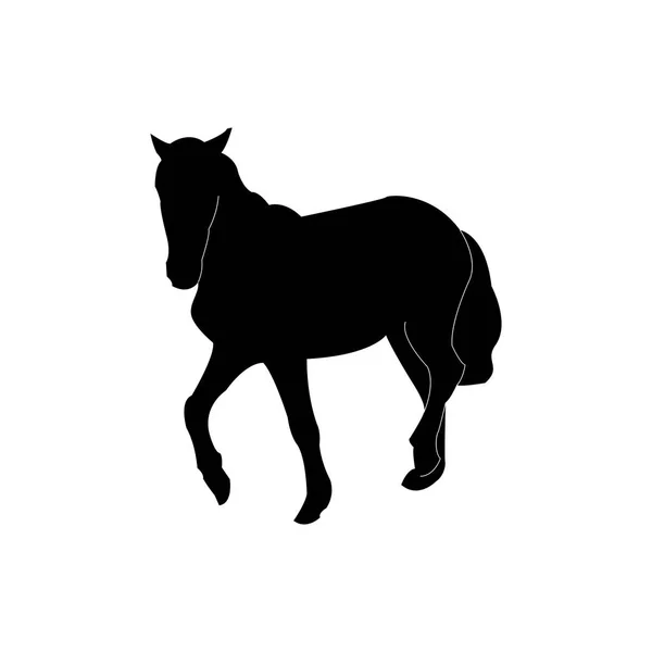 Silueta del caballo. Negro sobre fondo transparente. Vector — Archivo Imágenes Vectoriales